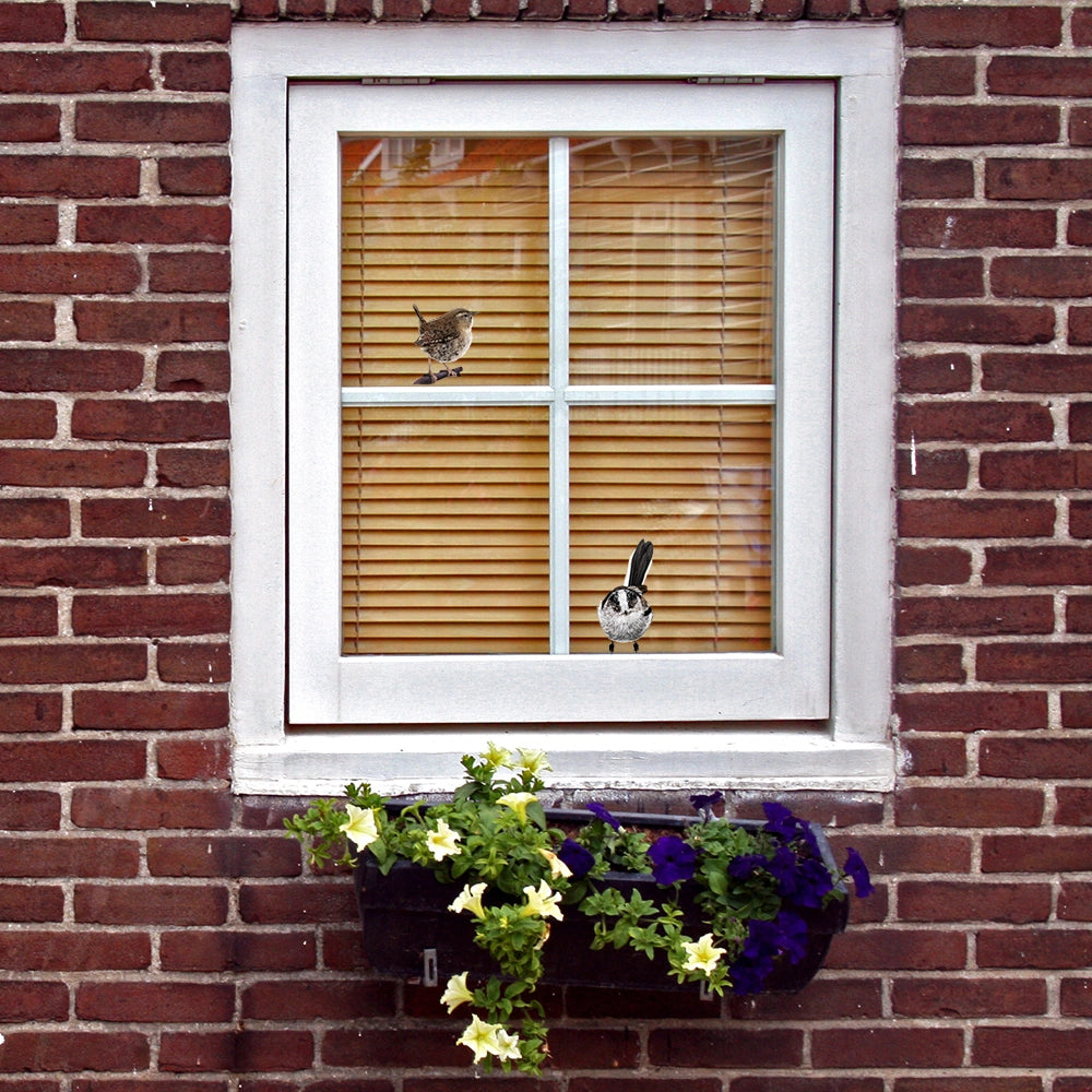 Dubbelzijdige Raamstickers kleine vogels mix