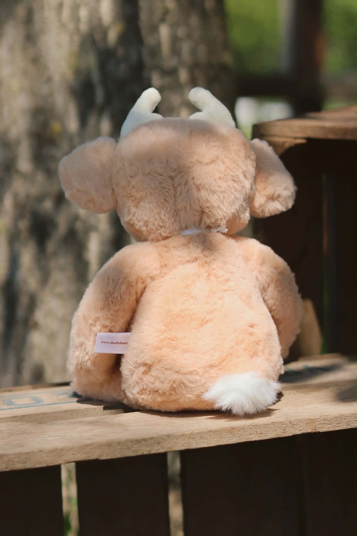 Hertje Fawn