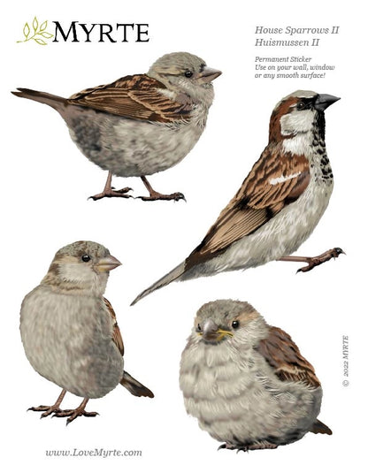 Muursticker huismussen