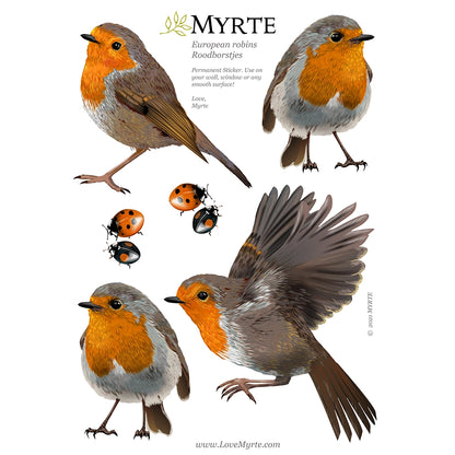 Robin wall stickers
