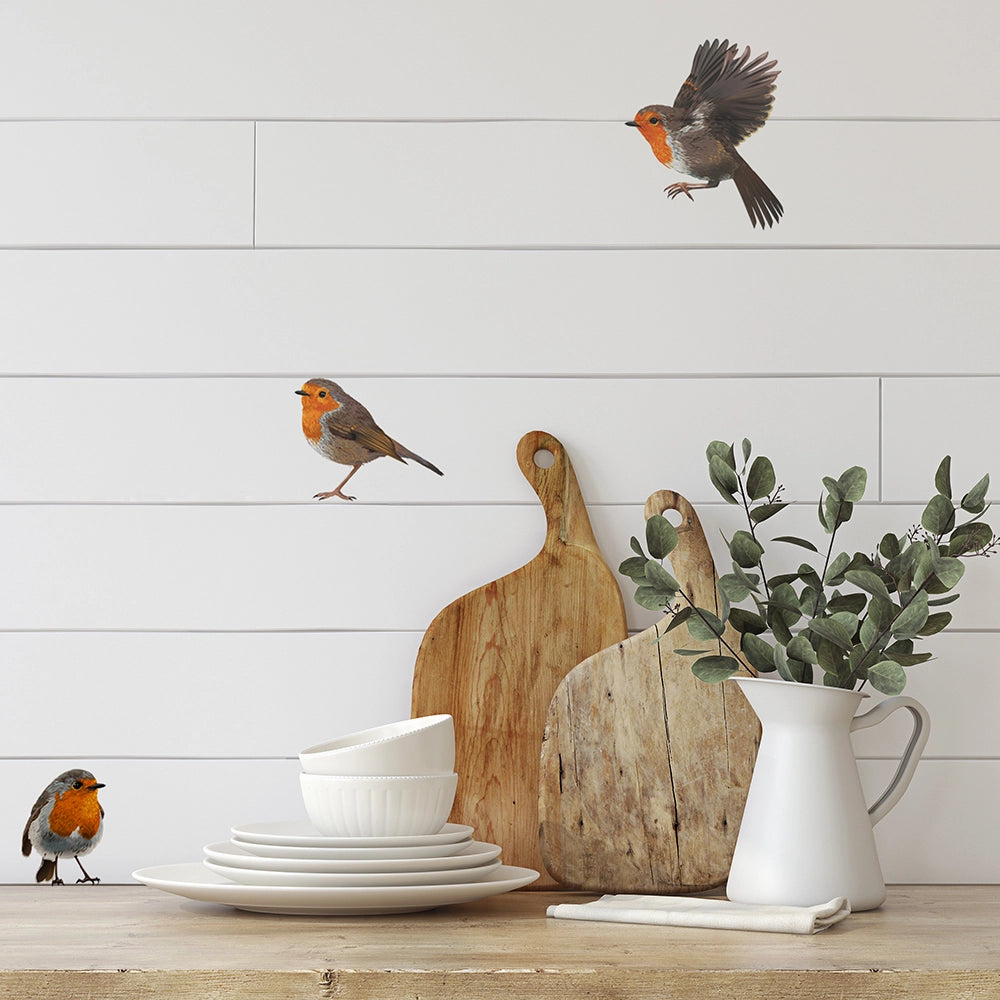 Robin wall stickers